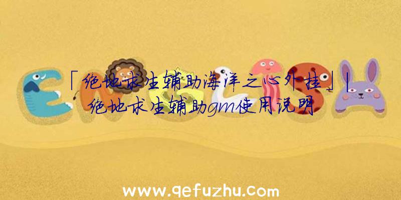 「绝地求生辅助海洋之心外挂」|绝地求生辅助gm使用说明